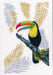 Toucan M746 Counted Cross Stitch Kit - Wizardi