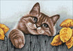 Village Cat CS205 15.8 x 11.8 inches Crafting Spark Diamond Painting Kit - Wizardi