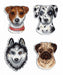 Who Said Woof? Magnets SR-409 Plastic Canvas Counted Cross Stitch Kit - Wizardi