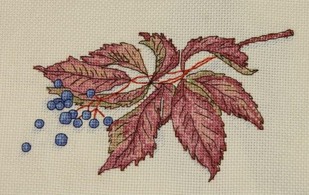 Wild Grapes - PDF Free Cross Stitch Pattern - Wizardi